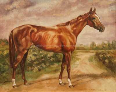  / Hnědák / Ivana Jurná Lipská