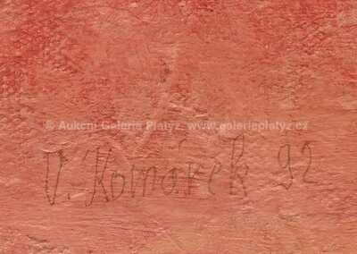  / Ptáci a talíře / Vladimír Komárek