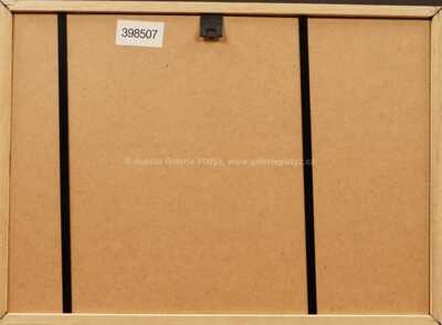  / Divoch / Jan Vyčítal