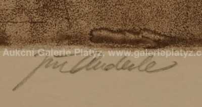  / Kytice pro štěstí / Jiří Anderle