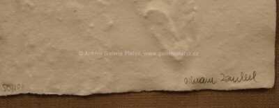  / Muž v prázdnu / Olbram Zoubek