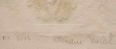  / Tři kočky  / Olbram Zoubek