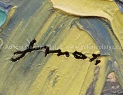  / Panorama Prahy / František  Max