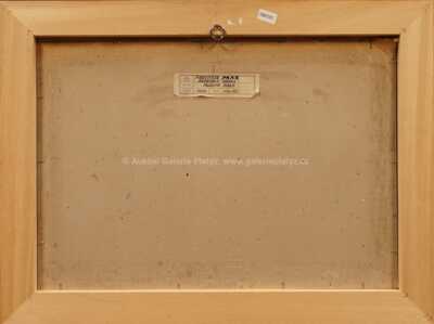  / Panorama Prahy / František  Max