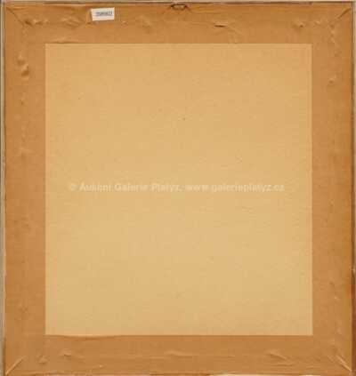  / Kočka / Josef Liesler