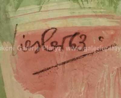  / Kočka / Josef Liesler