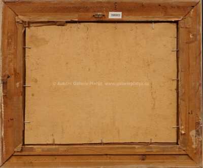  / Snopy / František Emler