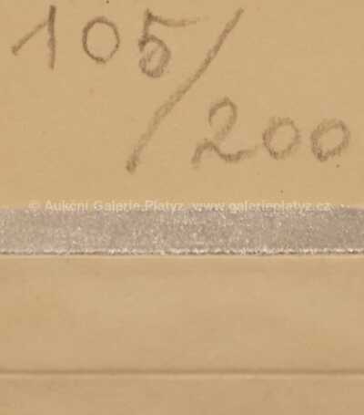  / Balon Viktora Huga v noci / Kamil Lhoták