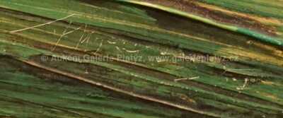  / Vysočina / Jaroslav Moravec