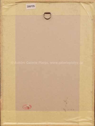  / Koláž / Libor Fára