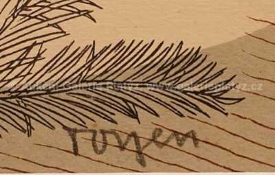  / Vánoční kapři / Marie Čermínová - Toyen