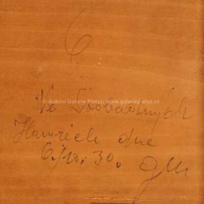  / Ve Svobodných Hamrech / Gustav Macoun