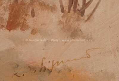  / Zima na Vysočině / Karel Jan Sigmund