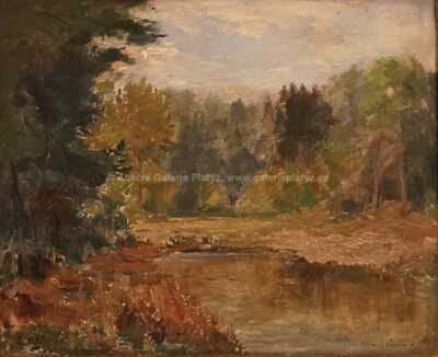  / U lesa / Karel Jan Sigmund