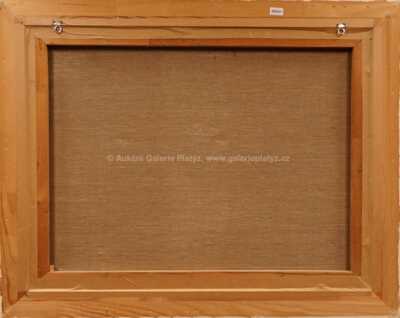  / V Lucerně / Vladimír Pergler BAPE