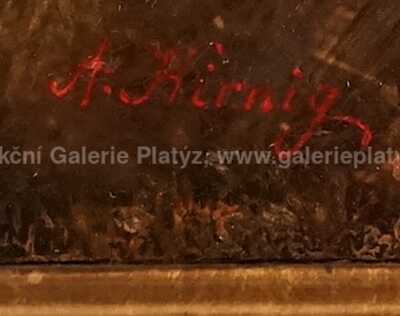  / Za slunce v Alpách / Alois Kirnig