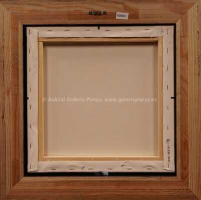  / Nejsem obraz, jsem zrcadlo / František Ringo Čech