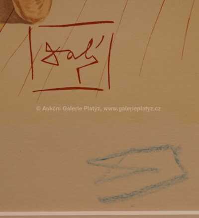  / Božská komedie - Zpěv 30 / Salvador Dalí