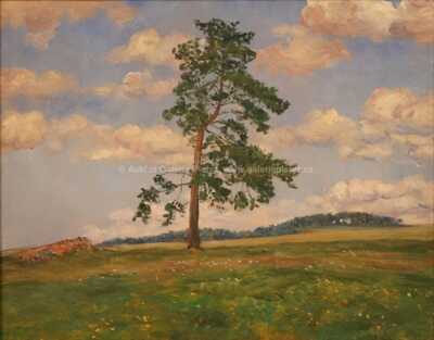  / Osamělý strom / František Kaván