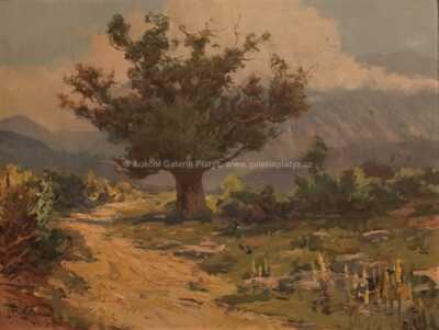  / Starý dub / Otakar Číla