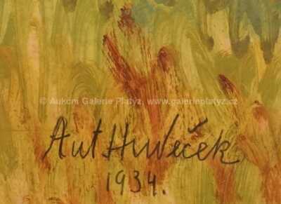  / Říčka Bělá / Antonín Hudeček