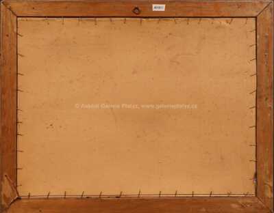  / Zima na Jesenicku / Oldřich Procházka