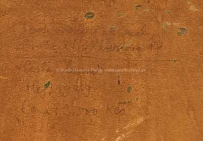  / Cesta lesem / Josef Liesler