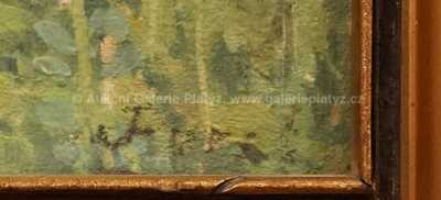  / Makové pole / Jindřich Fürst