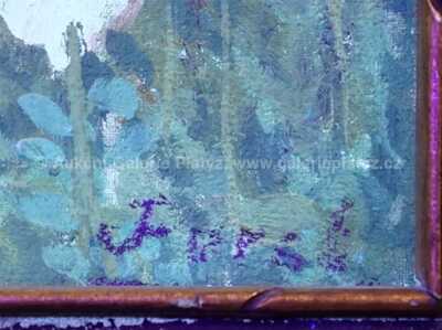  / Makové pole / Jindřich Fürst