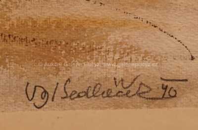  / Koňský povoz / Vojtěch  Sedláček