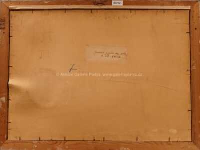  / Koňský povoz / Vojtěch  Sedláček