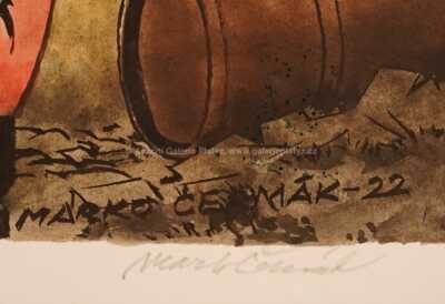  / Rychlé šípy ve Stínadlech / Marko Čermák