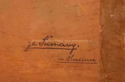  / Konvolut čtyř kusů / Jaroslav Háša