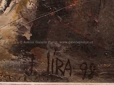  / Růže pro servírku / Josef Jíra