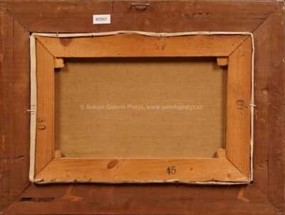  / Karlův most / Jan Bohumil Pospíšil