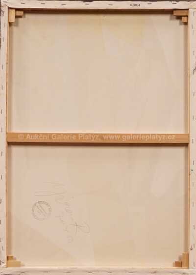  / Před zrcadlem / Robert Jiran