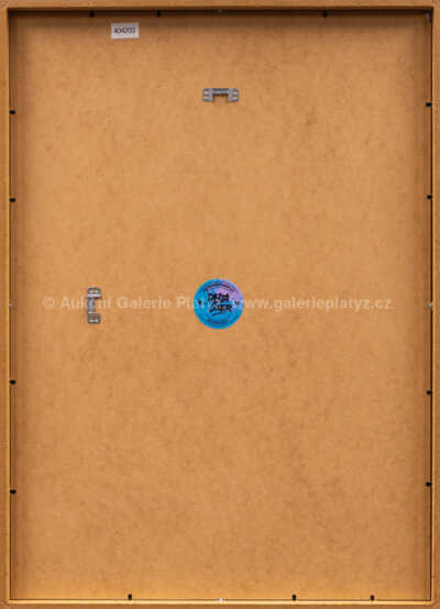  / Havel (grey, 2022) / Pasta  Oner