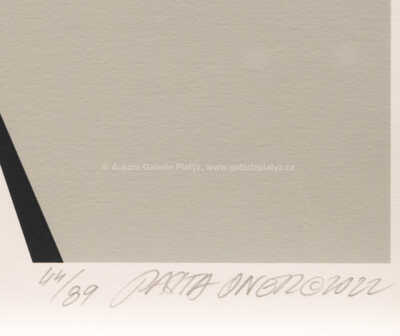  / Havel (grey, 2022) / Pasta  Oner