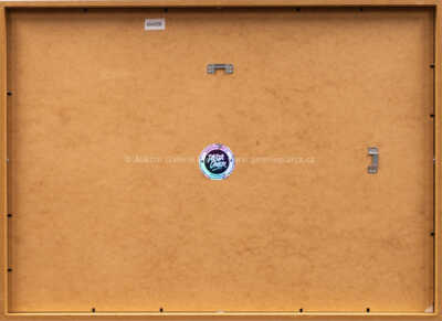  / I am the only thing / Pasta  Oner