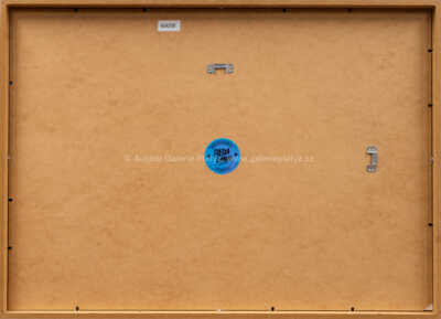  / Dear Future / Pasta  Oner