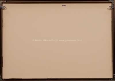  / Milionová bankovka / Oldřich Kulhánek