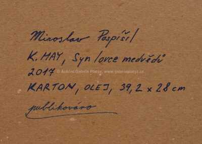  / Syn lovce medvědů / Miroslav Pospíšil