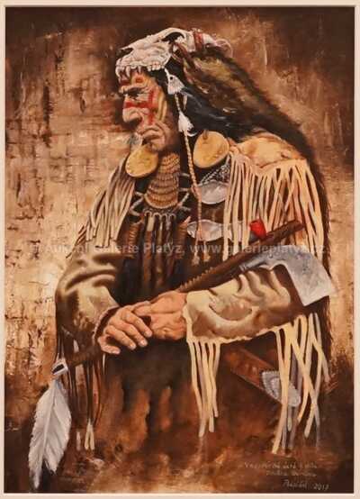  / Syn lovce medvědů / Miroslav Pospíšil