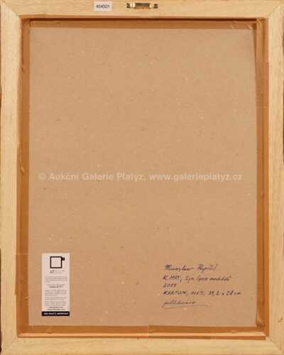  / Syn lovce medvědů / Miroslav Pospíšil