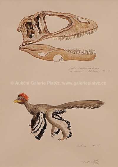  / Skoropták / Petr Modlitba