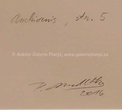  / Skoropták / Petr Modlitba