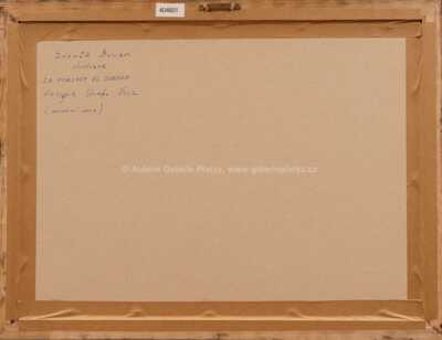  / Za poklady eldoráda / Zdeněk Burian