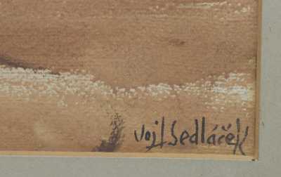  / Pole u rybníka / Vojtěch  Sedláček