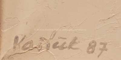  / Z vnitřku / Vladimír Vašíček