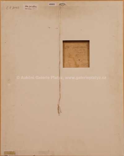  / Hlava / Ota Janeček